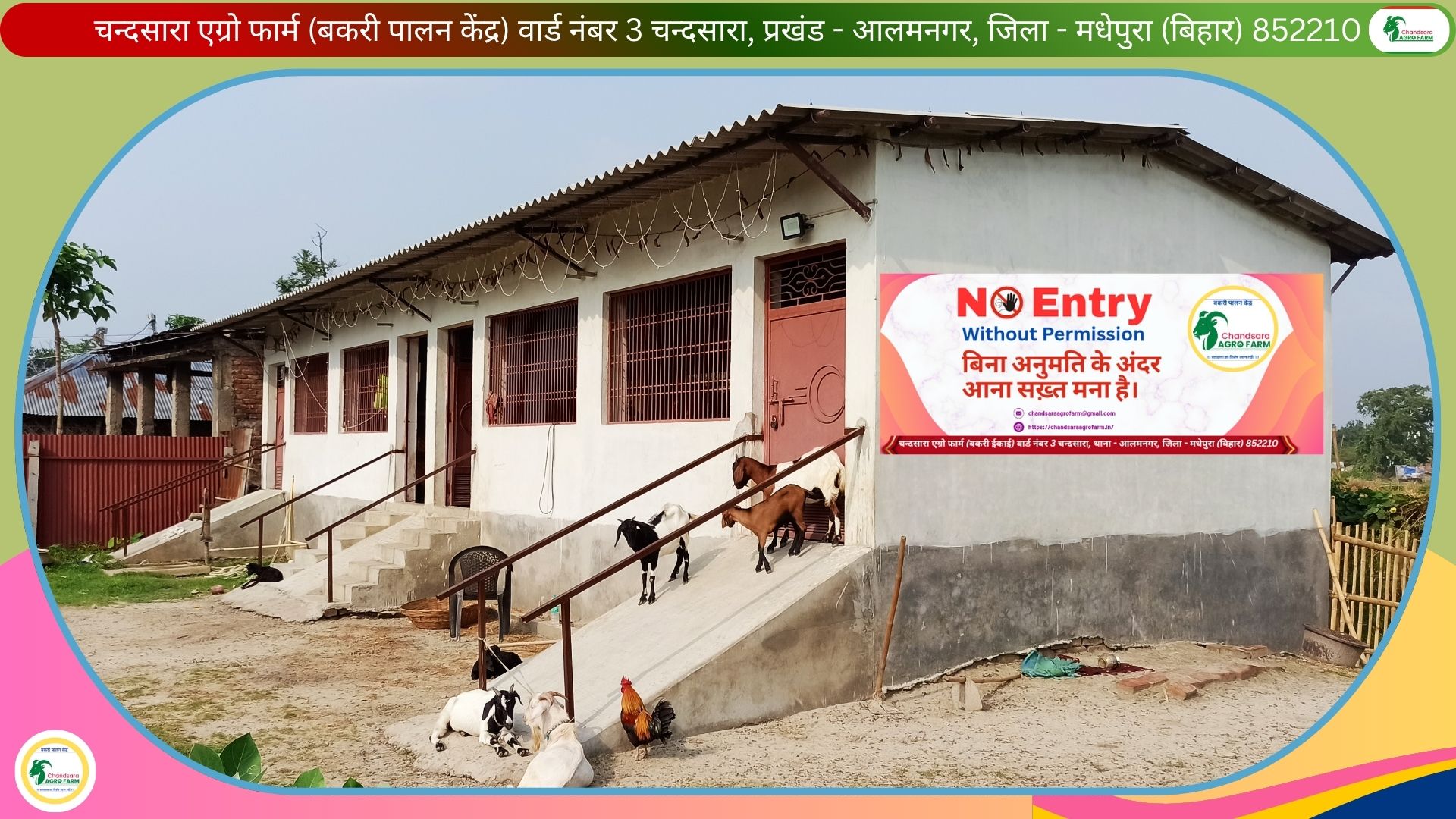 Chandsara Agro Farm (Bakri Palan) 9